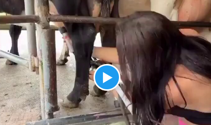 Darwin Awards: Girl gets crapped on disgustingly while friend laughs hysterically 🤣