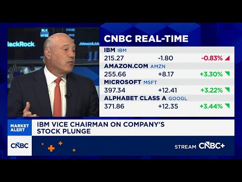 IBM Vice Chairman Gary Cohn: Our software is not being disrupted by AI