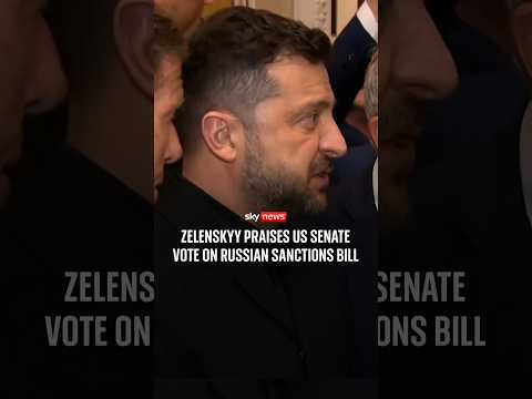 Zelenskyy praises US senate vote on Russian sanctions bill