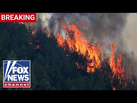 BREAKING: 12 dead, dozens missing in Spain wildfire