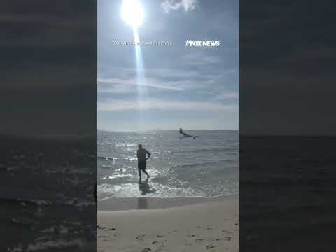 WATCH: Small plane PLUNGES into ocean #shorts