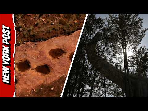 These Colorado Puddles Were Once Dinosaur Footprints 150 Million Years Ago