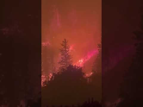 Out-of-Control Wildfire Sweeps Through Western Canada #shorts