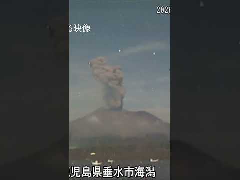 Dramatic Eruption Sends Lava Sparks Soaring From Sakurajima #shorts