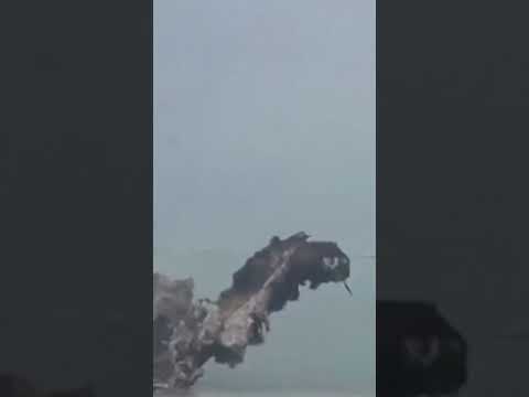 Charred Vessels Still Burning After Houthi Missile Strike on Yemen Port #shorts