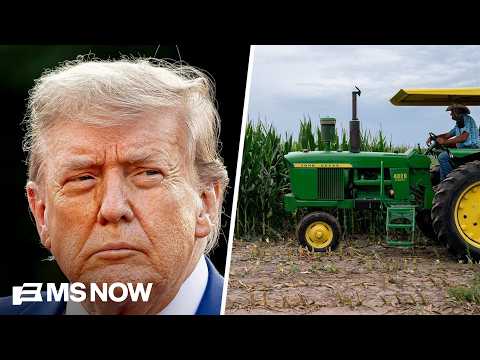 ‘Triple whammy’: Tariffs, diesel prices and trade war have been ‘devastating’ to farmers
