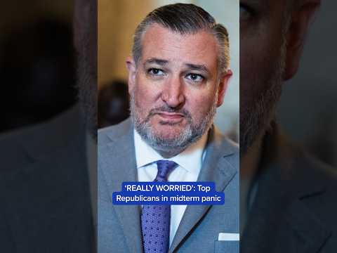 ‘REALLY WORRIED’: Top Republicans in midterm panic