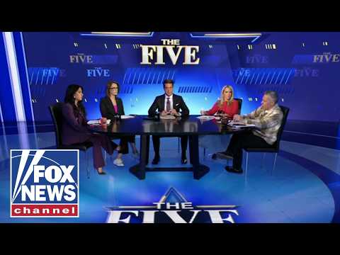 Dana Perino: Let Collins run the race she is going to run