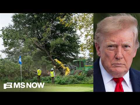 Trump’s legal team BLASTED by judge after cutting down over 400 trees at public golf course